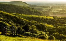 Landscape nature trees forest england uk hills field Custom Gaming Mat Desk picture