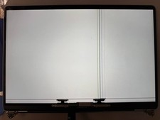 READ  GENUINE OEM MacBook Pro A2141 16