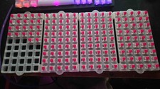 157x Kailh Box Pink Switches picture