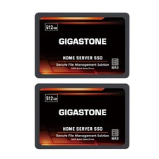 Gigastone 【NAS Certified】 512GB Home 512GBx2, Server SSD 2-Pack picture