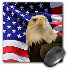 3dRose Bald Eagle and American Flag MousePad picture