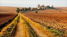 Landscape field road dirt trees tuscany italy Custom Gaming Mat Desk picture