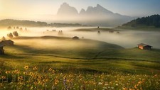 Landscape nature trees mountains hills flowers field Custom Gaming Mat Desk picture