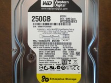 Western Digital WD2503ABYX-01WERA1 DCM:HGRCNTJCG 250gb 3.5