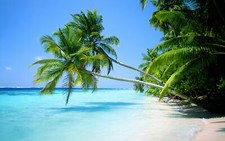 Landscape nature water sea tropical palm trees Custom Gaming Mat Desk picture