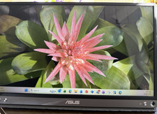 ASUS MB16AC  15.6