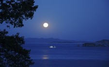 Landscape photography water sea trees nature night moon Custom Gaming Mat Desk picture