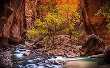 Landscape nature zion national park river canyon utah Custom Gaming Mat Desk picture