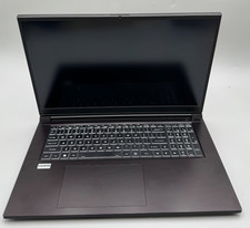 Sager Clevo NP70PNP 17.3
