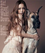 Namie Amuro CD Sit Stay Wait Down Love Story DVD付き Pop J-Pop Music Japan picture