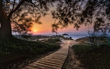 Landscape nature island path walkway beach sunset trees Custom Gaming Mat Desk picture