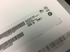 15.6