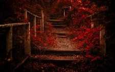 Landscape nature fall path leaves shrubs red fence Custom Gaming Mat Desk picture