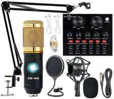 Sktome AM100-V8 Podcast Equipment Bundle BM-800 Microphone Voice Changer Audio picture