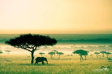 Landscape africa kenya savannah elephant nature Custom Gaming Mat Desk picture