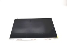 AU Optronics 17.3