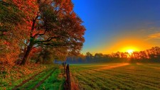 Landscape sunset fall sunlight field trees Custom Gaming Mat Desk picture