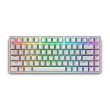 Alienware Pro 75% Wireless Gaming Keyboard Hot-Swappable Switch RGB Lunar Light picture