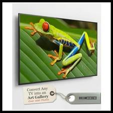 Transform Your TV with Dream Nature 4K Art Screensaver - 500 Stunning Photos picture