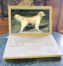 Vintage Apple MacBook A1181  🦖 OSX 10.6.8 2GB RAM WORKS VG+ w/Power Supply picture