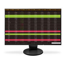 GE HealthCare 2110728-002 EIZO FlexScan EV2456 24.1