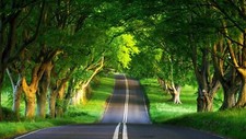 Landscape road trees green asphalt grass Custom Gaming Mat Desk picture