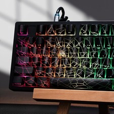 SPIDER WEB Shine-Through OEM Profile Keycap Set 118 Keys Black/White No Keyboard picture