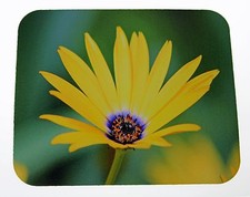 NEW Yellow Daisy Flower picture photo pic Mouse Pad  picture