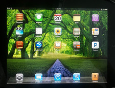 Apple iPad Series Tablet 16GB Wi‑Fi Internet Connectivity, Silver, iOS picture