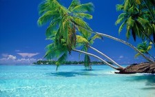 Landscape nature beach tropical sea vacation summer palm Custom Gaming Mat Desk picture