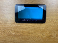 Pioneer R1 8GB, Wi-Fi, 7in - Pink picture