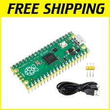 Dual-Core Raspberry Pi Pico with Flexible Digital Interfaces picture