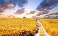 Landscape nature yellow field clouds sky sunset glow Custom Gaming Mat Desk picture