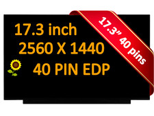 240hz Display f ASUS ROG Strix G17 G713R G713RW G713RW-IS96 LCD Screen 17.3