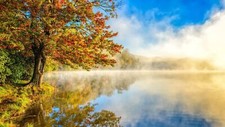 Landscape nature r lake mist trees reflection Custom Gaming Mat Desk picture