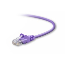 BELKIN INTERNATIONAL INC A3L791-01-PUR-S Cat5E Snagless Patch Cbl / picture