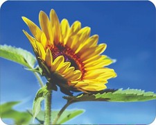 Flowers Floral Art Photo Sunflower Mouse Pad Stunning Photos AI Drawing Mousepad picture