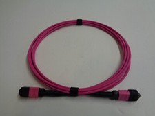 12-Fiber MPO Fem/Fem OM4 Multimode Patch Cable - Type A - 5 Meter picture