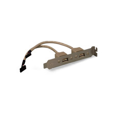 8in USB 2.0 Dual Port on Bracket for Motherboard - Beige picture